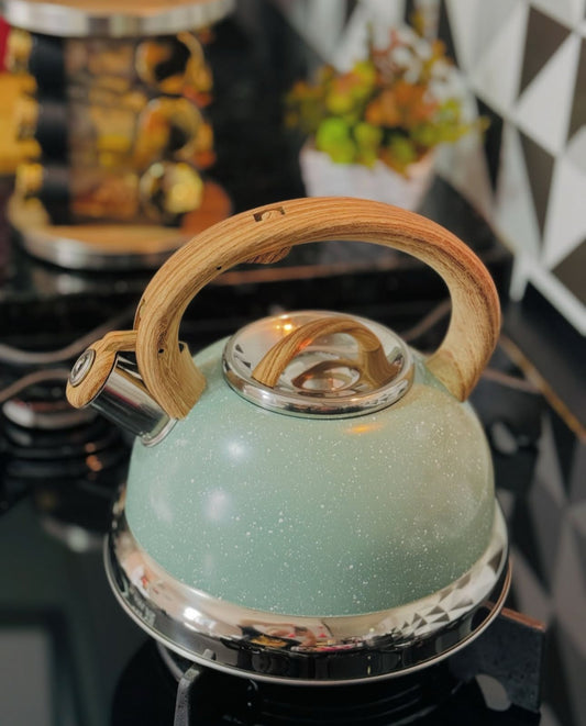Chaleira Roma Inox Verde 2,7l Com Apito De Indução Brinox