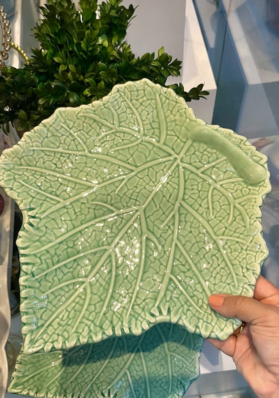 PRATO RASO CERÂMICA SCALLA LINHA COUVE